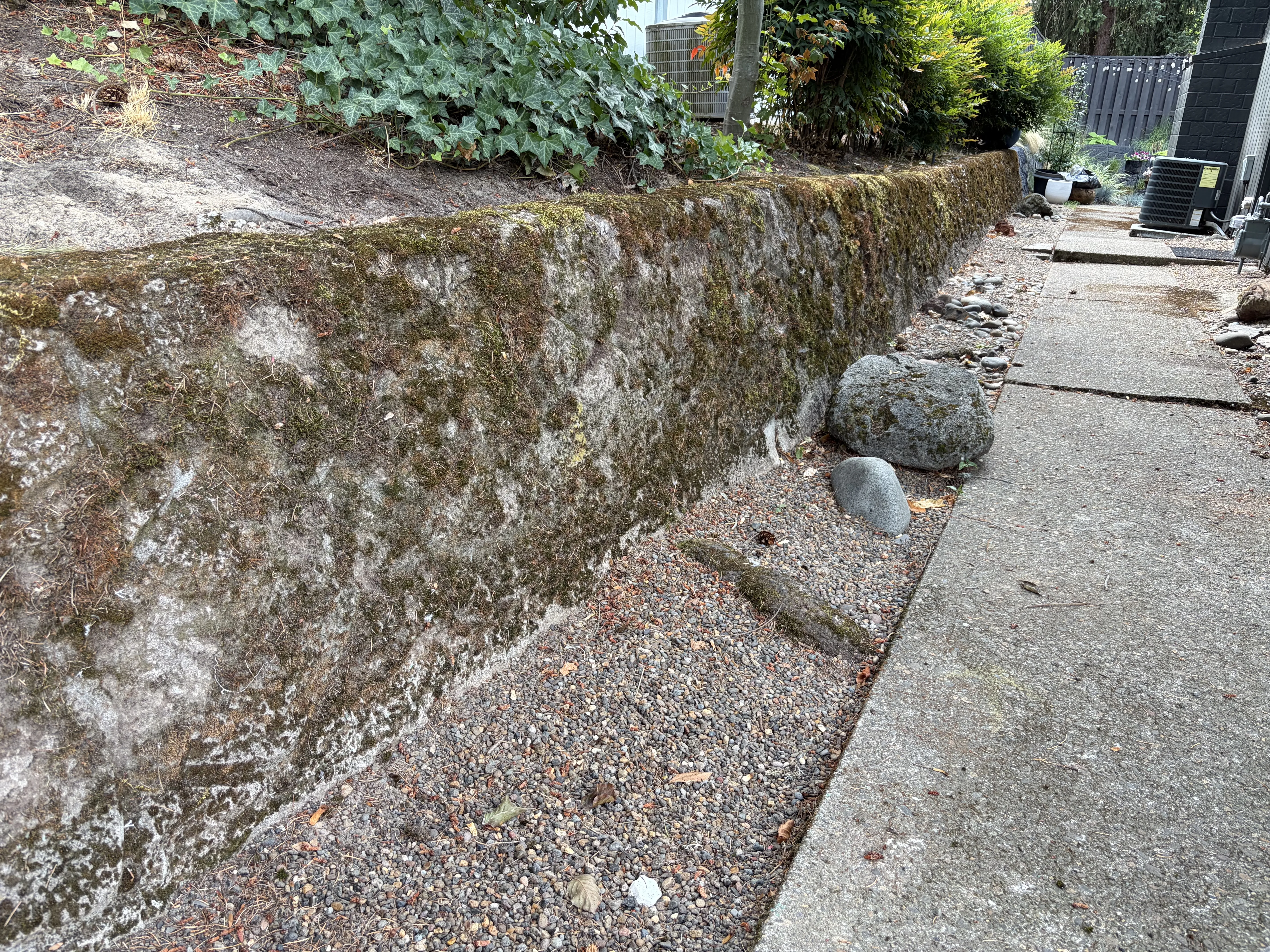 Dirty, mossy retaining wall.